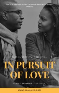 In pursuit of love cover